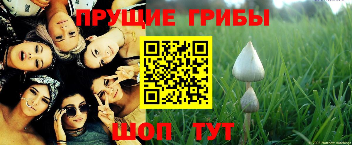 Зима  Галлюциногенные грибы мухоморы  Псилоцибиновые грибы Psilocybine cubensis  Вход с VPN 